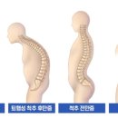 넘버원기구필라테스 - 강릉시 성덕포남로 74 | 넘버원기구필라테스
