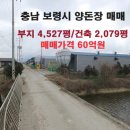 보령양돈장 이미지