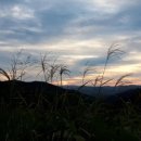 축령산휴림 이미지