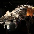 자녀와 함께하는 키즈베이킹(초1-2) | 초1겨울방학 가족여행(feat.쿠알라룸푸르/싱가포르)