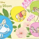 블라썸컴퍼니 이미지