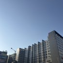 [일원1] 가정 헤어 | 가정역 미용실 12아늑헤어 향실장님 클리닉 후기