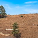 창선 가인리화석산지 이미지