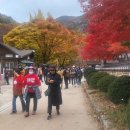 삼부자농장 이미지