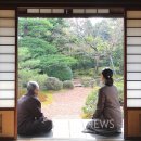 그린도예 이미지