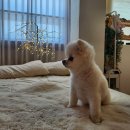 스튜디오 눕 이미지