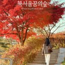 꿈의숲 스타약국 | 서울 단풍 구경 북서울꿈의숲 가족여행 산책 추천