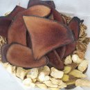 거여경희한의원 이미지