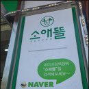 두부애뜰