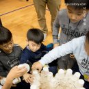 승학초등학교 이미지