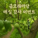 매실사랑펜션 이미지