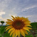 강주마을회관 이미지