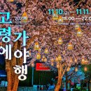 사단법인고령군관광협의회 네이버블로그