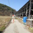 진옥농장 이미지