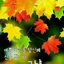 피카소노래방 이미지