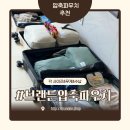 오리지널 짐 | 브랜든압축파우치 오리지널 사이즈별 수납 캐리어 정리 후기 (100% 내돈내산)