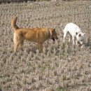 담양주유소 이미지