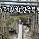 뷰무인텔 네이버블로그