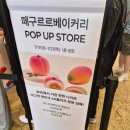 구르르 | 분당 왁뿌아그작케이크 떼구르르베이커리 솔직후기 기록 :)