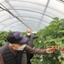 사)경기도지체장애인협회 안양시지회 이미지