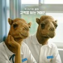 [평생학습관] 영화 속 역사 이야기 | 고백의 역사 (2025) 뻔하지만 그래도 재밌다 | 낙타의 영화 리뷰