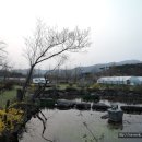 정촌유기농원 이미지