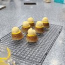 수제산업동물병원 이미지