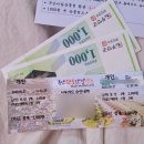무안황토갯벌랜드 기타 장소 | [전남 무안 아이와 함께 가볼 만한 곳] 무안황토갯벌랜드 방문 후기