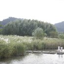 송림 힐링캠핑장 이미지