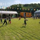 오산농장 | 블루베리체험 잎새자연체험장 딸기체험 끝! 블루베리농장체험 비용 예약 위치 후기