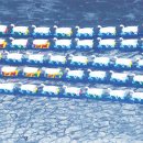 한강오리 이미지