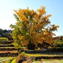 도이2리 마을회관 이미지