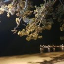 땅끝오토캠핑장야영장화장실 이미지