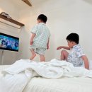 한림별채 | 제주 감성숙소추천ㅣ아이와함께 [한림별채] B동 2박후기 🫧