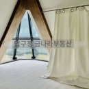 금나라공인중개사사무소 이미지