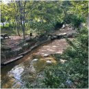 두부촌 | 의정부 낙양동맛집, 두부요리가 일품인 두부촌 정식 후기