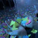 모텔 하니 | [2026.02~2026.03] 데이식스 전국투어 - 대전, 대구