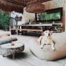 나비호텔 | 멕시코 툴룸여행 10만원대 찐가성비 느좋 호캉스 숙소 추천 우나 비다 후기