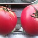 산정 낚시터 이미지