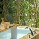 그해거제 이미지