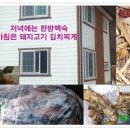 한방백숙과 물더덕 번개(5/12~13)~ 이미지