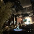 W타워 | W. 1 서울웨딩타워 홀투어 후기 (feat. 아이웨딩) (계약 X)