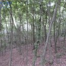 괴산군청천면지경보건진료소 | [괴산군 청천면 주택경매,급매,전세] 충청북도 괴산군 청천면 지경리 217-3. 2015타경2747 [더에이스]