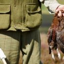 Shooting S 이미지