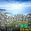 (주)암남개발 네이버블로그
