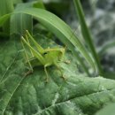 도촌 2농장 이미지