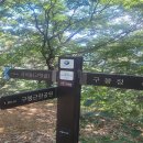 1월8일(목)대전구봉산(263m)둘레길 및 대전갑천생태 호수공원 야간 관광 트레킹 예약 이미지