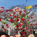 진해대로-3 | 진해 크리스마스 가볼만한곳 “진해 보타닉뮤지엄” 내돈내산 후기 | 애견동반 가능