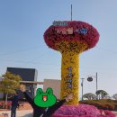 남도복국 완도점 이미지