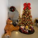 오플로우 이미지